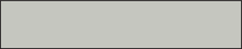 N°21 Gris clair